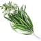 Artificial Hanging Green Plant Potted Chlorophytum Wall Decor 65cm PVC Simulation Leaves 3