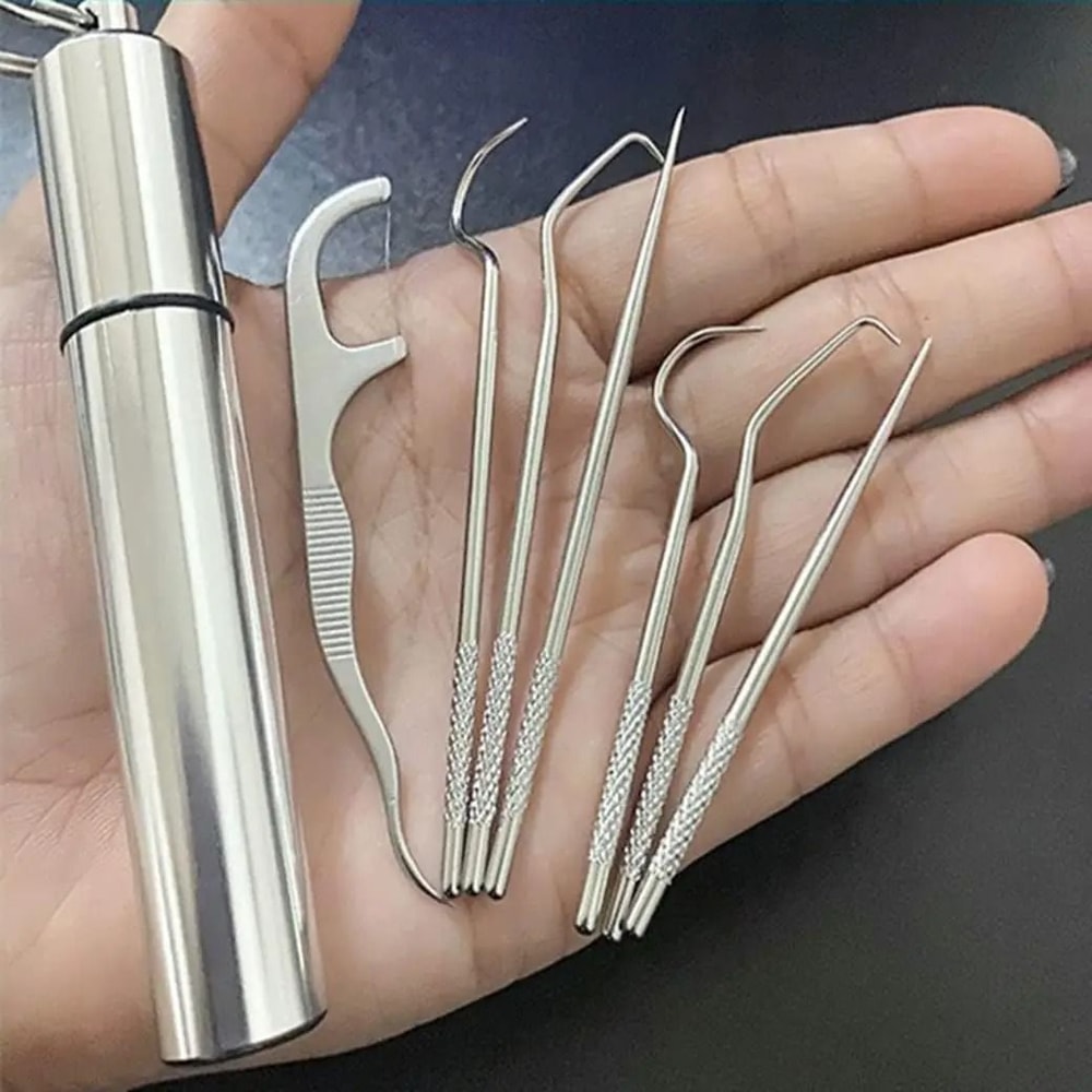 Stainless Steel Reusable Toothpick And Flossing Set 0