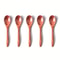 Wooden Tea Spoon Set Long Coffee And Dessert Spoons 0