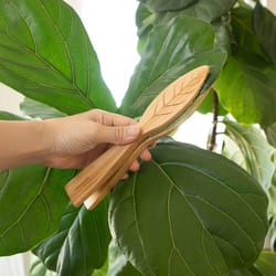 wooden leaf cleaning tongs for houseplants