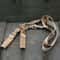 Tactical Adjustable Gun Sling With Bungee Strap 4
