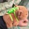 Kawaii Animal Wristband Plush Doll Toy 7