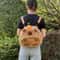 Kawaii Capybara Plush Backpack Mini Shoulder Bag For Kids 10