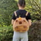 Kawaii Capybara Plush Backpack Mini Shoulder Bag For Kids 10