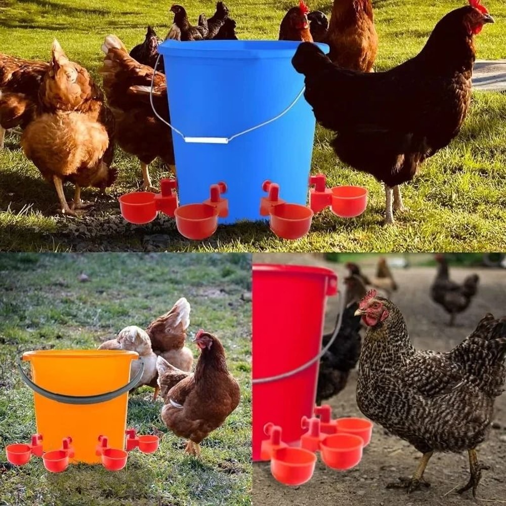 Chicken Waterer Cups Poultry Drinking Feeder Cups 5