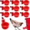 Chicken Waterer Cups Poultry Drinking Feeder Cups 7
