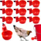 Chicken Waterer Cups Poultry Drinking Feeder Cups 7