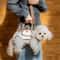 Hands Free Small Dog Carrier Sling Backpack With Leash Attachment 1