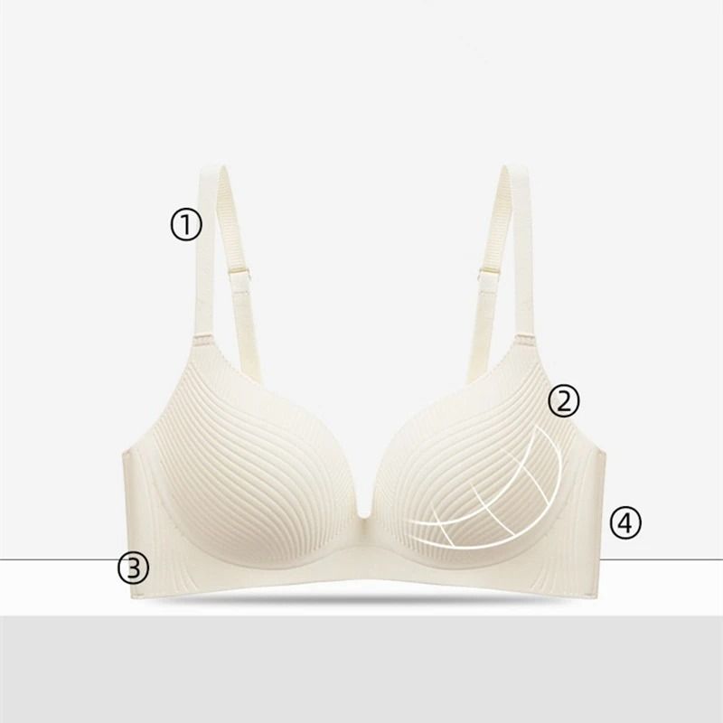 Shell Seamless Comfort Bra Without Underwire For Women 2