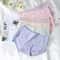 Womens High Waist Cotton Briefs Breathable Everyday Underwear Seven Piece Set 4