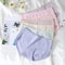 Womens High Waist Cotton Briefs Breathable Everyday Underwear Seven Piece Set 4
