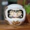 Japanese Ceramic Daruma Lucky Cat Fortune Money Box Ornament 5