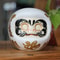 Japanese Ceramic Daruma Lucky Cat Fortune Money Box Ornament 5