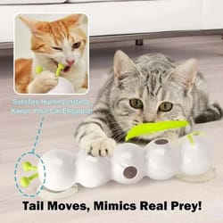 interactive caterpillar cat toy motion activated rechargeable automatic wack a worm teasing toy for indoor cats