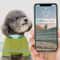 Pet GPS Tracker With Adjustable Collar Smart Locator For Dogs And Cats 1