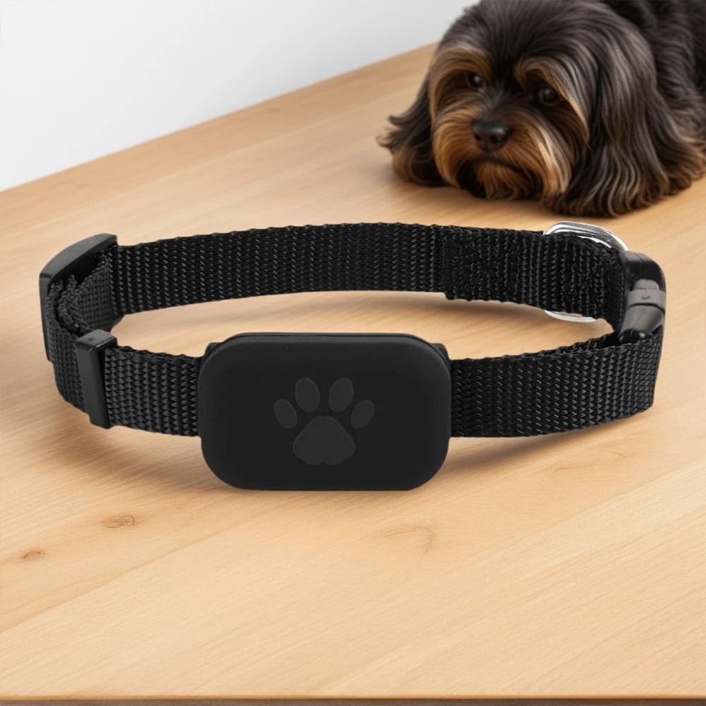 Pet GPS Tracker With Adjustable Collar Smart Locator For Dogs And Cats 2