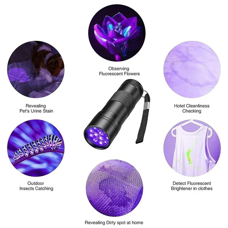 Portable UV Flashlight Black Light Detector For Pet Stains And Inspection 5