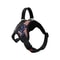 Adjustable Dog Harness Vest With Reflective Leash For Small And Large Dogs 14