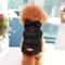 Soft Warm Winter Dog Coat Padded Jacket For Small And Medium Dogs 4