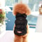 Soft Warm Winter Dog Coat Padded Jacket For Small And Medium Dogs 6