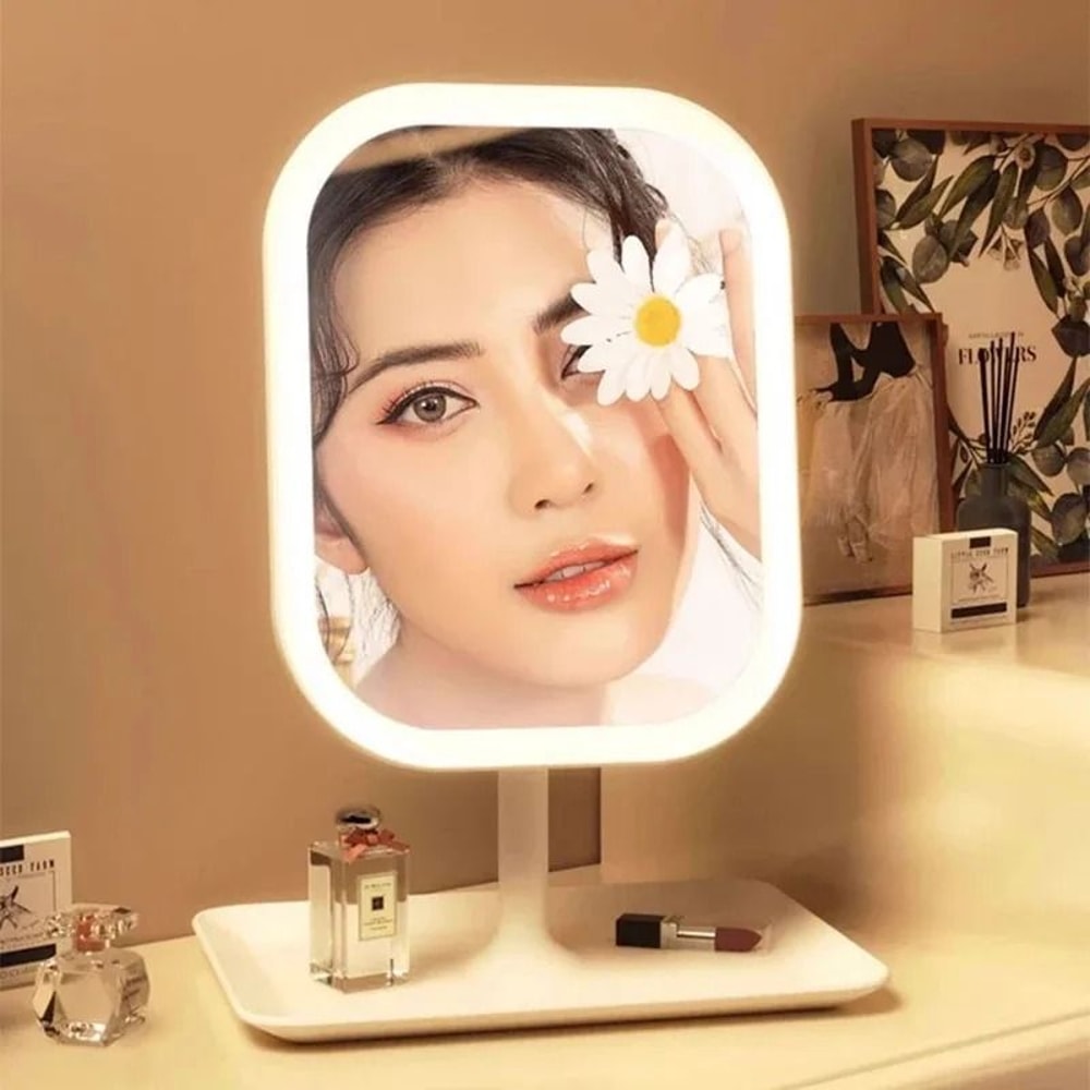 Niche Modern Desktop Vanity Mirror 3 Color Light LED Makeup Mirror With Touch Sensor 2