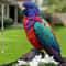 Bright And Colorful Parrot Garden Stake Outdoor Terrace And Lawn Decoration 0