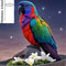 Bright And Colorful Parrot Garden Stake Outdoor Terrace And Lawn Decoration 3