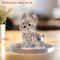 Flat Crystal Dog Ornament Small And Fun Decorative Statue For Bedroom And Office 3
