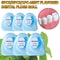 1pc Compact Mint Flavored Dental Floss Convenient Fast Teeth Cleaning 0