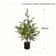 JUSTINLAU 2FT Artificial Norfolk Pine Cypress Tree Potted Tabletop Faux Holiday Decor 9