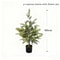 JUSTINLAU 2FT Artificial Norfolk Pine Cypress Tree Potted Tabletop Faux Holiday Decor 9
