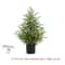 JUSTINLAU 2FT Artificial Norfolk Pine Cypress Tree Potted Tabletop Faux Holiday Decor 10