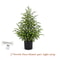 JUSTINLAU 2FT Artificial Norfolk Pine Cypress Tree Potted Tabletop Faux Holiday Decor 10