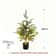 JUSTINLAU 2FT Artificial Norfolk Pine Cypress Tree Potted Tabletop Faux Holiday Decor 11