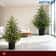 JUSTINLAU 2FT Artificial Norfolk Pine Cypress Tree Potted Tabletop Faux Holiday Decor 1