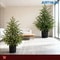 JUSTINLAU 2FT Artificial Norfolk Pine Cypress Tree Potted Tabletop Faux Holiday Decor 1