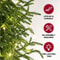 JUSTINLAU 2FT Artificial Norfolk Pine Cypress Tree Potted Tabletop Faux Holiday Decor 3