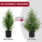 JUSTINLAU 2FT Artificial Norfolk Pine Cypress Tree Potted Tabletop Faux Holiday Decor 4