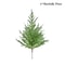 JUSTINLAU 2FT Artificial Norfolk Pine Cypress Tree Potted Tabletop Faux Holiday Decor 7