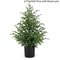 JUSTINLAU 2FT Artificial Norfolk Pine Cypress Tree Potted Tabletop Faux Holiday Decor 8