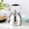 Stainless Steel Tea Pot With Filter 1L15L2L Large Capacity Flower Teapot 8