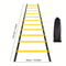 Speed Agility Training Ladder HeavyDuty Nylon Straps For Football MultiSport Flexibility 10