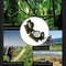 Multifunctional Portable Compass Phosphorescent Lensatic Navigation Tool For Hiking Camping Survi 5