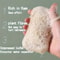 10pcs Natural Loofah Sponges Exfoliating Body Scrubber For Gentle Cleansing 1