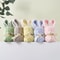 10pcs5sets Bunny Shaped Towel And Gift Bag Set 5
