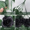 2Pcs Artificial Black Rose Vine Hanging Decorations 2