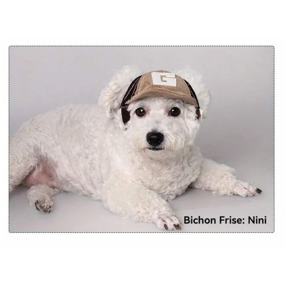 Adjustable Pet Outdoor Sun Visor Mesh Baseball Cap 5