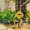 Resin Aquarium Shark Warning Sign Decoration 3