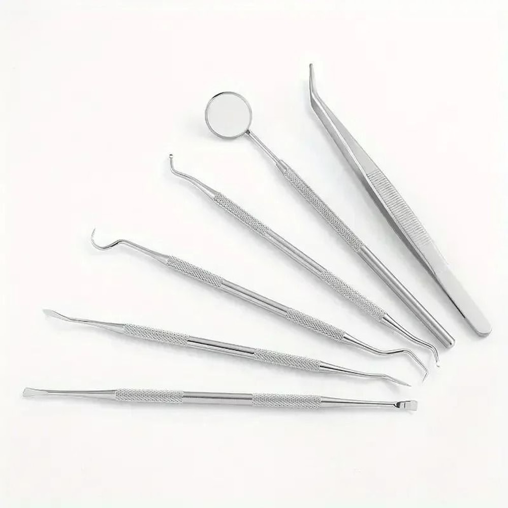 Stainless Steel Dentist Oral Care Kit 3