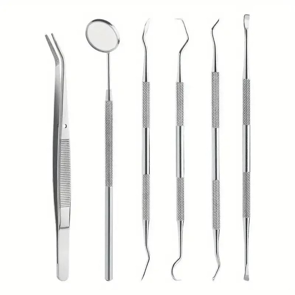 Stainless Steel Dentist Oral Care Kit 4